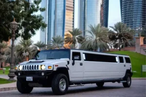 ypes of Corporate Limousine Services in Dubai