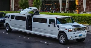 Types of Limousine Services for Expats